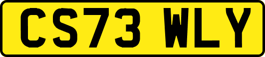 CS73WLY