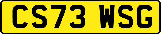 CS73WSG