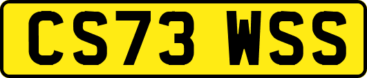 CS73WSS
