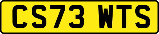 CS73WTS