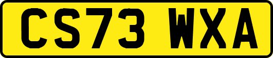 CS73WXA