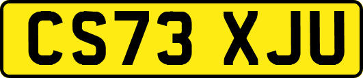 CS73XJU