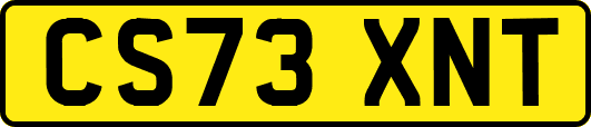 CS73XNT
