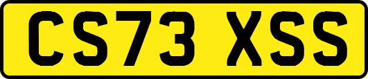 CS73XSS