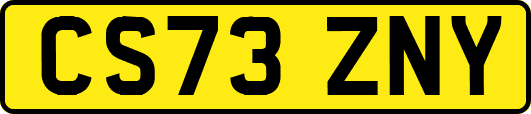 CS73ZNY