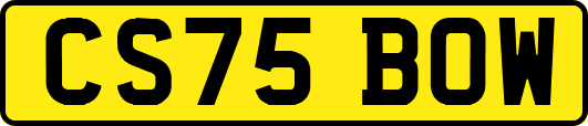 CS75BOW