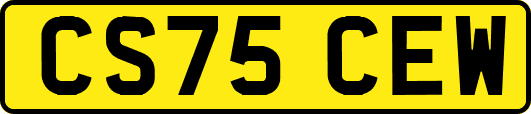 CS75CEW