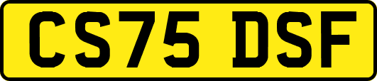 CS75DSF