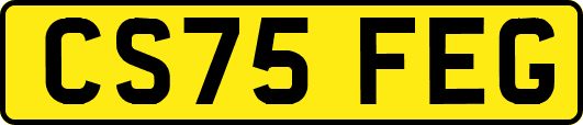 CS75FEG