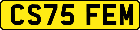 CS75FEM