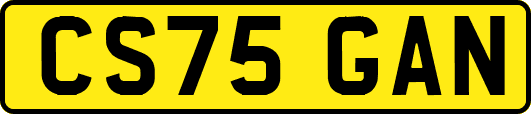 CS75GAN