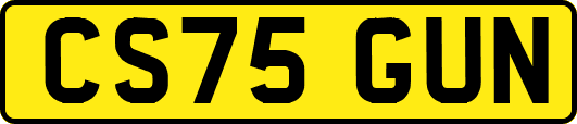 CS75GUN