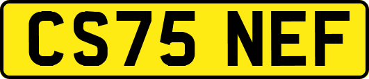 CS75NEF