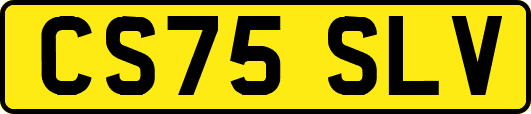 CS75SLV
