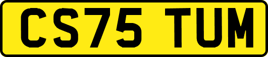 CS75TUM
