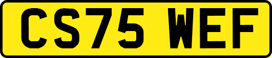 CS75WEF