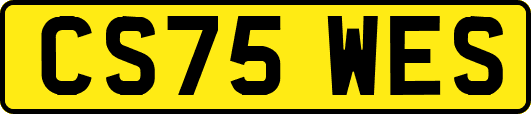 CS75WES