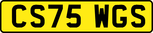 CS75WGS