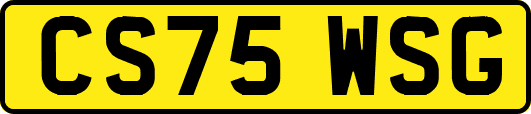 CS75WSG