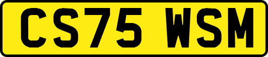 CS75WSM