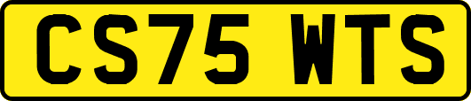 CS75WTS