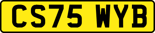 CS75WYB