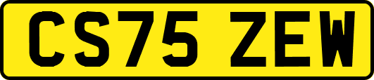 CS75ZEW