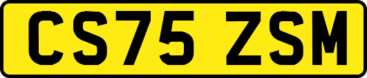 CS75ZSM