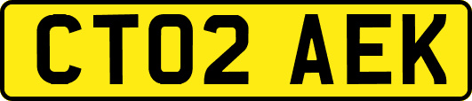 CT02AEK