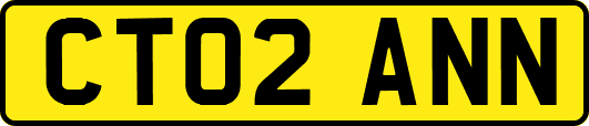 CT02ANN