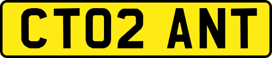 CT02ANT