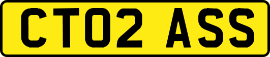 CT02ASS