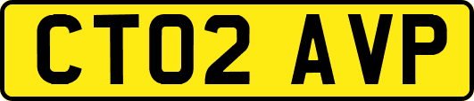 CT02AVP