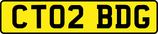 CT02BDG