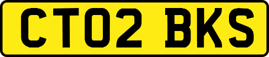 CT02BKS