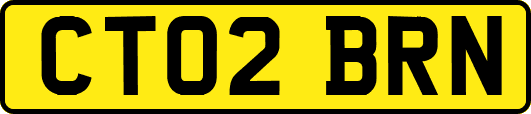 CT02BRN
