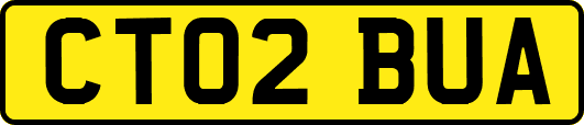 CT02BUA