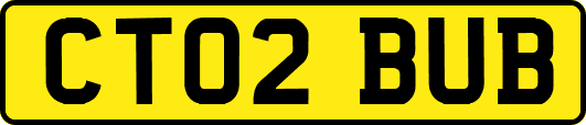 CT02BUB