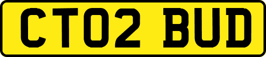 CT02BUD