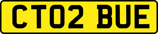 CT02BUE