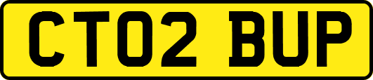 CT02BUP