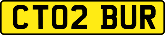 CT02BUR