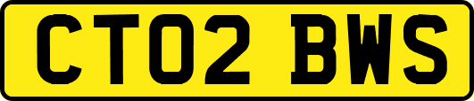 CT02BWS