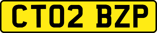 CT02BZP