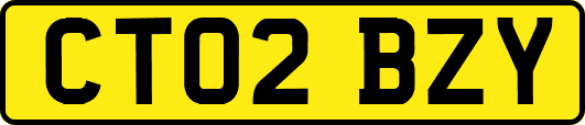 CT02BZY