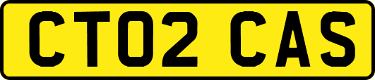 CT02CAS