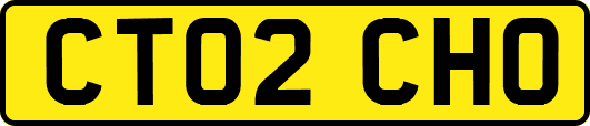 CT02CHO