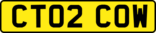 CT02COW