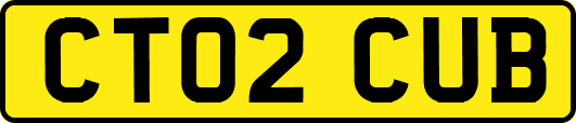 CT02CUB