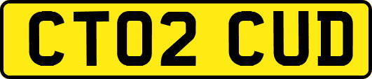 CT02CUD